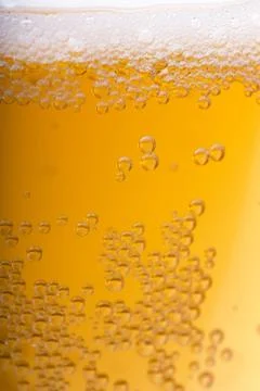 Beer background Stock Photos