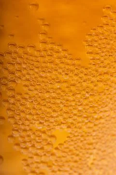 Beer background Stock Photos