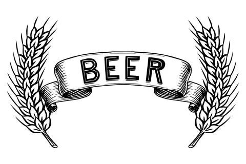 Beer banner with a wheat or rye hand drawn engraving in old vintage style Stock Illustration