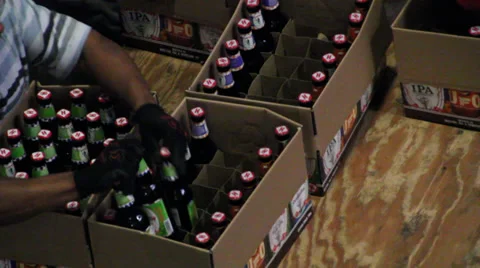 Beer being transferred into cases for mixed cases Stock Footage 29645858