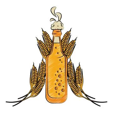 Beer bottle and wheat scribble Stock Illustration