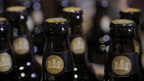 Beer bottle necks Stock Footage 237594889