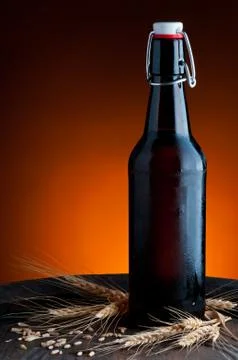 Beer bottle Stock Photos