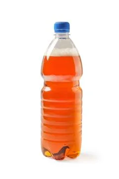 Beer bottle Stock Photos