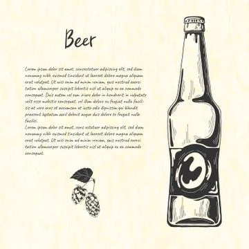 Beer bottle in sketch style. Vector illustration for bar menu. Stock Illustration