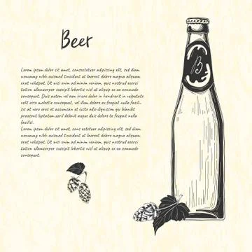 Beer bottle in sketch style. Vector illustration for bar menu. Stock Illustration