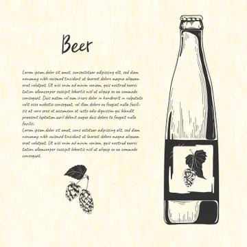 Beer bottle in sketch style. Vector illustration for bar menu. Stock Illustration