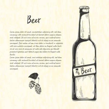 Beer bottle in sketch style. Vector illustration for bar menu. Stock Illustration