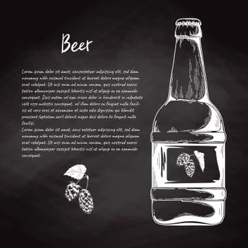 Beer bottle in sketch style. Vector illustration for bar menu Stock Illustration