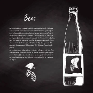 Beer bottle in sketch style. Vector illustration for bar menu Stock Illustration