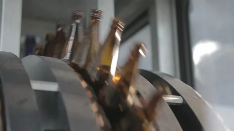 Beer bottles 3 Stock Footage