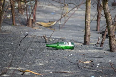 Beer bottles at beach Foto stock