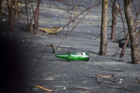 Beer bottles at beach Stock Photos