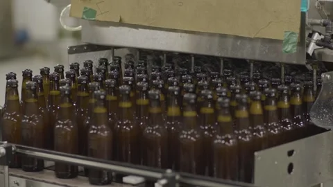Beer Bottles Being Washed Stock Footage 244754060