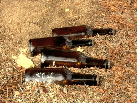 Beer Bottles Video stock 308601