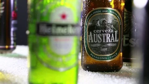 Beer bottles Stock Footage 77053347