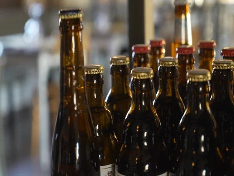 Beer Bottles Stock Footage 81118060