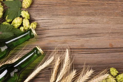 Beer bottles frame wheat with copy space Stock Photos