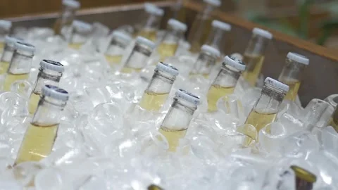 Beer bottles on ice 스톡 동영상 255833703