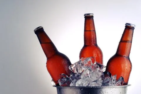 Beer bottles Stock Photos