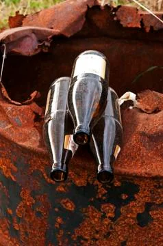Beer bottles on scrap Stock Photos