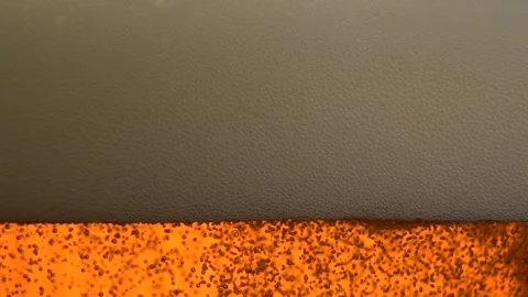 Beer Bubbles And Foam Closeup. Slow Motion Stock Footage 149112080