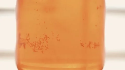 Beer bubbles are coming up. Vídeo Stock 164964217