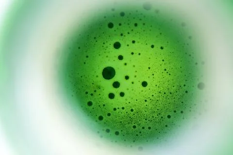 Beer bubbles in bottle Stock Photos