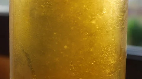 Beer Bubbles Float in the Sunlight Stock Footage 67328241