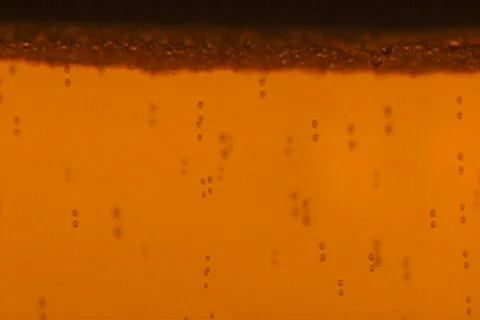 Beer Bubbles Stock Footage 183633