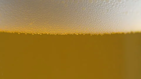 Beer bubbles Stock Footage 1016631