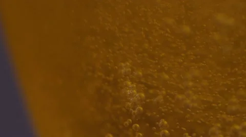 Beer Bubbles Stock Footage 43069030