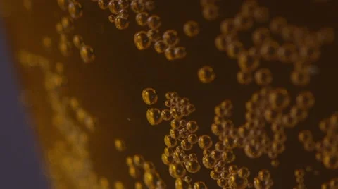 Beer Bubbles Stock Footage 43069087