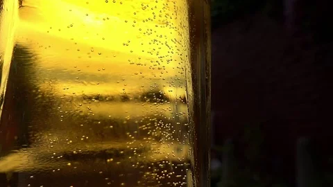 Beer Bubbles Stock Footage 77575989