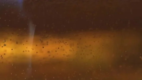 Beer bubbles 動画素材 165593992