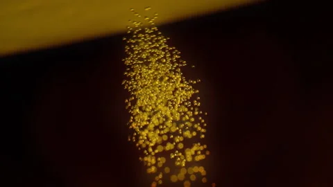 Beer bubbles Stock Footage 219464712
