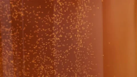 Beer bubbles macro. 스톡 동영상 149032635
