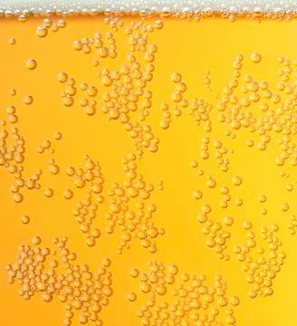 Beer bubbles Stock Photos