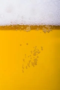 Beer bubbles Stock Photos