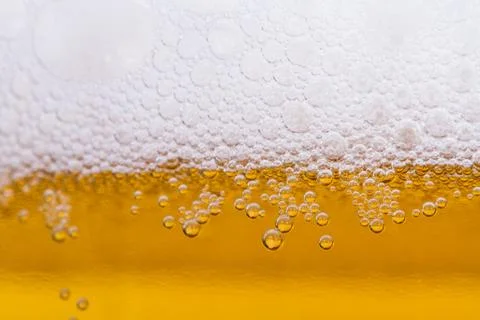 Beer bubbles Stock Photos