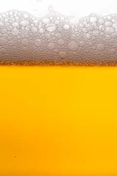 Beer bubbles Stock Photos