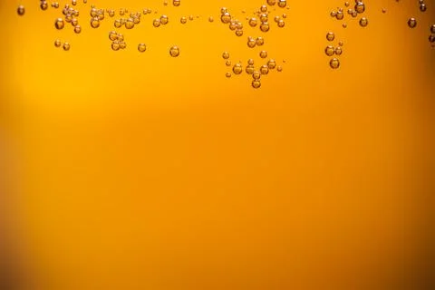 Beer bubbles Stock Photos