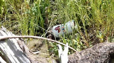 A beer can in the grass Stock Footage 10745477