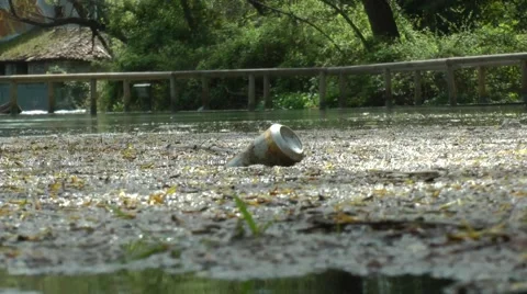A beer can in a lake, river. Vídeos de archivo 49125210