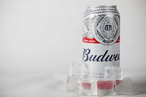 A Beer Can Stock Photos