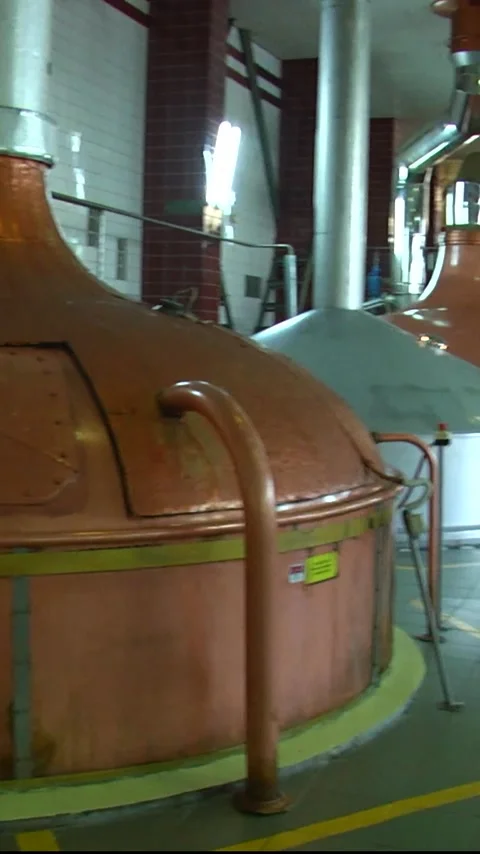 Beer cans are moving along the conveyor beltTechnological line for bottling of Stock Footage 310631997