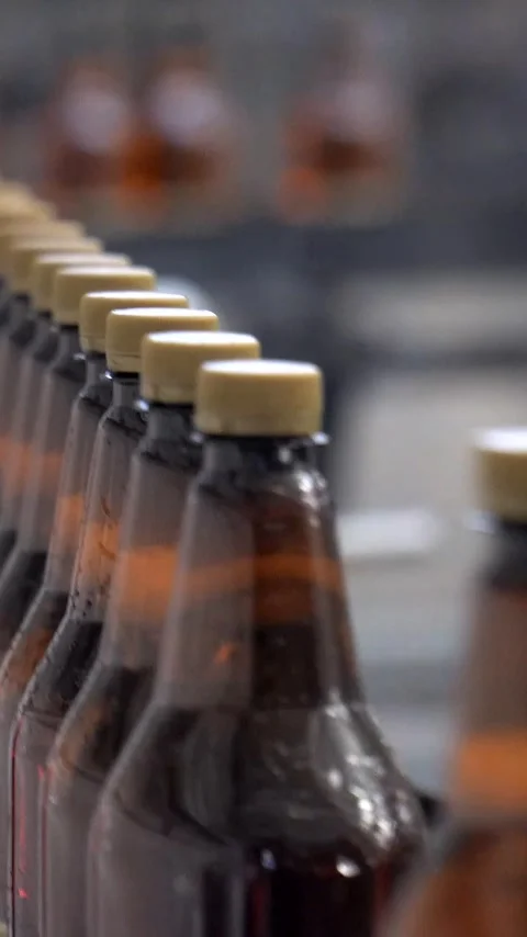 Beer cans are moving along the conveyor beltTechnological line for bottling of Stock Footage 310632557