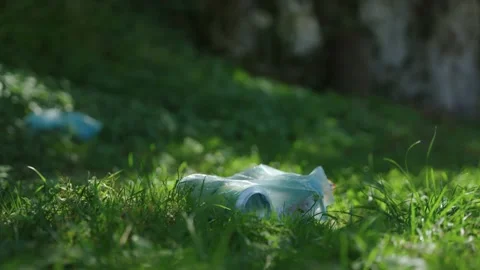 Beer cans thrown in nature 動画素材 236705398