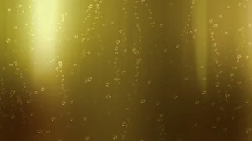 Beer Champagne Soda Bubbles Loop Vídeo Stock 85649604