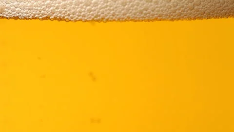 Beer close up Stock Footage 89533661
